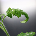 085005_20180530135923_02.JPG