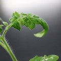 085005_20180530135923_05.JPG