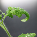 085005_20180530135924_01.JPG