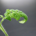 085005_20180530135924_03.JPG