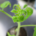 085005_20180530135940_01.JPG