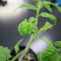 085005_20180530135954_01.JPG