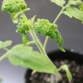 085005_20180530140101_03.JPG