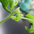 085005_20180530140104_01.JPG
