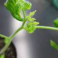 085005_20180530140107_01.JPG