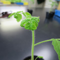 085005_20180530140129_01.JPG