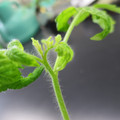 085005_20180530140155_01.JPG