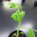 085005_20180530140219_01.JPG