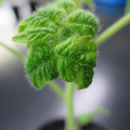 085005_20180530140300_01.JPG