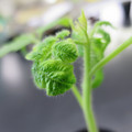 085005_20180530140313_01.JPG