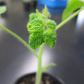 085005_20180530140323_01.JPG