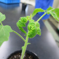 085005_20180530140331_01.JPG