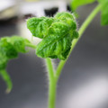 085005_20180530140512_01.JPG