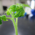 085005_20180530140532_01.JPG