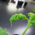 085005_20180530140558_01.JPG