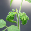 085005_20180530140708_01.JPG