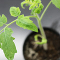 085005_20180530140901_01.JPG