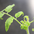 085005_20180530140911_01.JPG