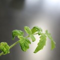 085005_20180530141004_01.JPG