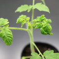 085005_20180530141012_01.JPG