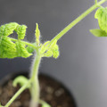 085005_20180530141132_01.JPG