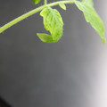 085005_20180530141139_01.JPG