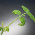 085005_20180530141243_01.JPG