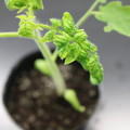 085005_20180530141353_01.JPG