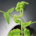 085005_20180530141609_01.JPG
