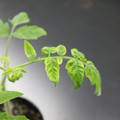 085005_20180530141657_01.JPG