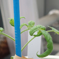 34005_20180925110921_01.JPG
