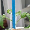 34005_20180925110923_01.JPG