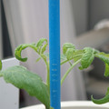 34005_20180925110926_02.JPG