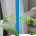 34005_20180925110927_01.JPG