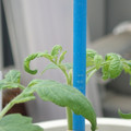 34005_20180925110929_01.JPG