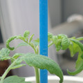 34005_20180925110931_01.JPG