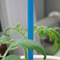 34005_20180925110932_01.JPG