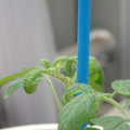 34005_20180925110939_01.JPG
