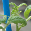 34005_20180925112611_01.JPG