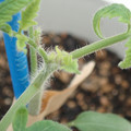 34005_20180925112736_01.JPG