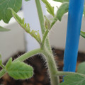 34005_20180925112817_01.JPG