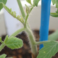 34005_20180925112820_01.JPG