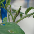 34005_20180925112908_01.JPG
