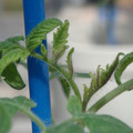 34005_20180925112913_01.JPG