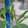 34005_20180925112914_01.JPG
