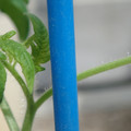 34005_20180925113028_01.JPG