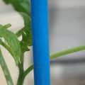 34005_20180925113037_01.JPG