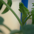 34005_20180925113112_01.JPG