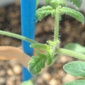 34005_20180925113150_01.JPG