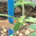 34005_20180925113151_01.JPG